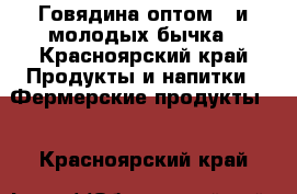 Говядина оптом 3-и молодых бычка - Красноярский край Продукты и напитки » Фермерские продукты   . Красноярский край